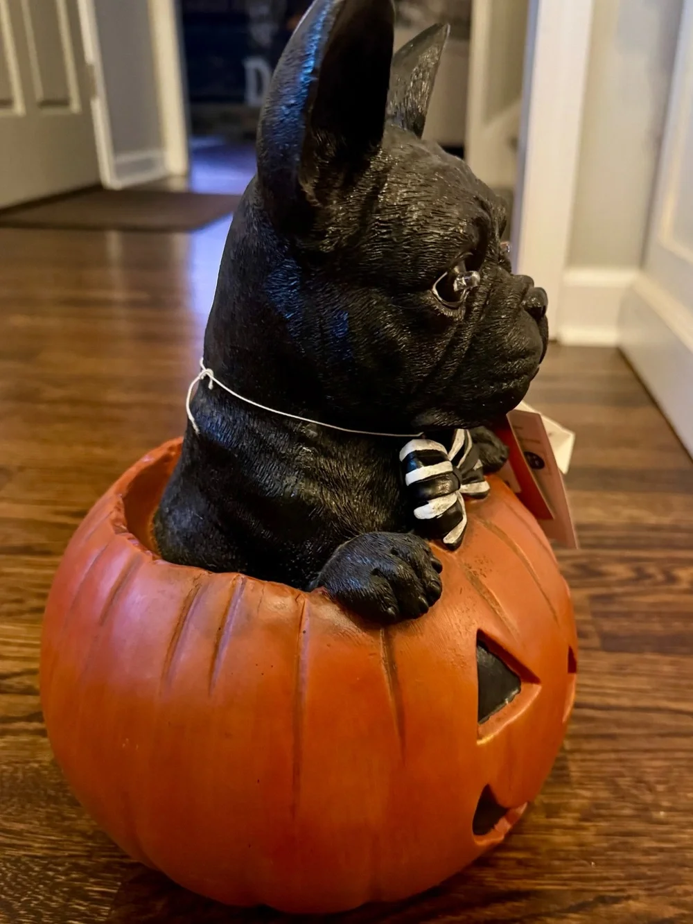 French Bulldog charming black